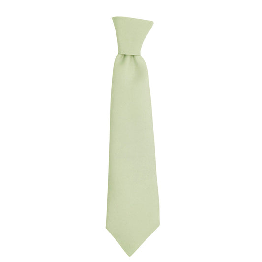 Willow Boys Ties